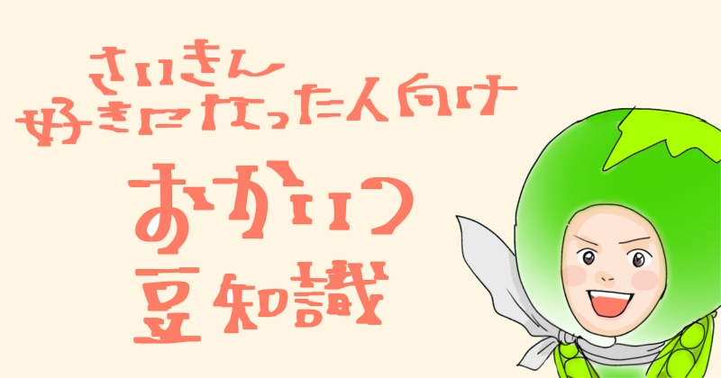 おかいつ豆知識